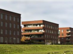 Optoppen en de Fundering